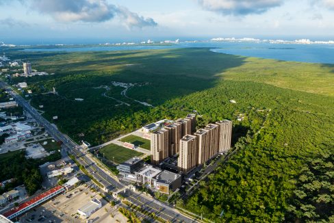 tif_elephant_manglar cumbres 03_mp_02